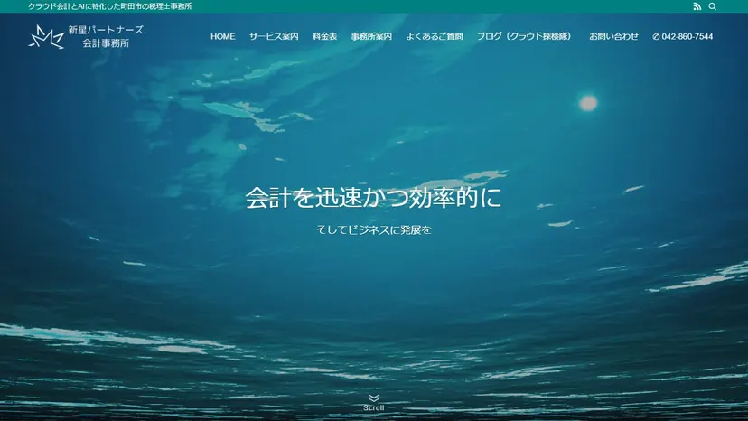 新星パートナーズ会計事務所の公式サイト（ファーストビュー）